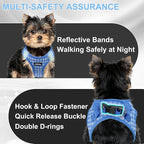 AIITLE Easy Walk Dog Vest Harness and Leash Set, Pet Supply No Pull, Breathable Mesh, Reflective Stripes, Adjustable Escape Proof Pet Outdoor Harnesses for Medium Dogs Blue L