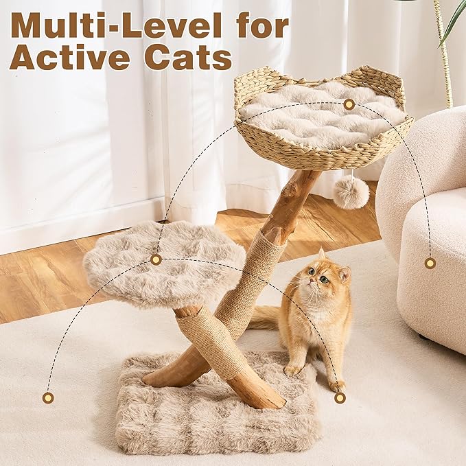 HITTITE Natural Solid Wood Cat Tree Tower with Scratching Post, 32 Inches Tall Modern Cat Tower with Rattan Bed and Platforms, Luxury Real Branch Cat Tree for Indoor Cats Large Adult, Khaki.