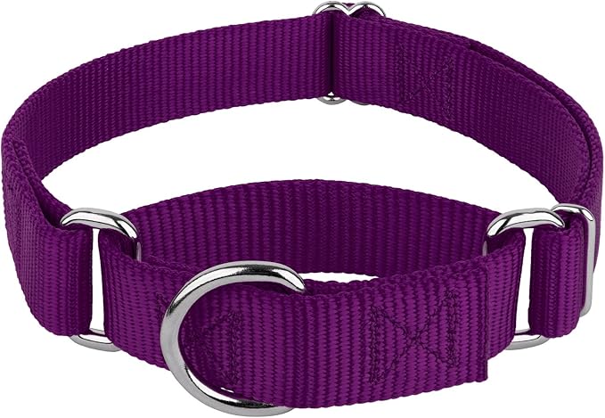 Country Brook Petz - Martingale Dog Collar - Heavy-Duty Training Collar with No Buckle - Service Dog Collar for All Pups - 10+ Cool Colors (Purple, 1 Inch, Medium)