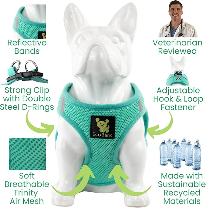 EcoBark Teacup Dog Harness - Luxury Step in Mesh Dog Harnesses in Mint Turquoise