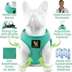 EcoBark Teacup Dog Harness - Luxury Step in Mesh Dog Harnesses in Mint Turquoise