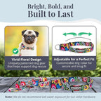 Lucky Love Dog Martingale Collar and Leash Set, Premium No Slip Collar and Leash Set, Great for Whippets, Greyhounds, and More (Blackbird, Small - Combo)
