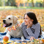 Tunkoo Dog Collar with Cute Bow Tie Pumpkin and Turkey Pattern - Durable, Adjustable and Stylish Thanksgiving Pet Collar, Available in Small Medium Large, S