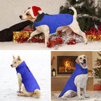 Dog Winter Coat, Waterproof Dog Jacket with Leash Hole, Reflective Adjustable Pet Snow Vest, Warm Fleece Sweater for Small Medium Large Dogs - Blue, XS