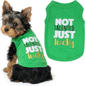 Parisian Pet Dog Shirt – 100% Cotton Green Shirts for Small Dogs – Sleeveless Puppy Vest – Lightweight and Breathable Funny Pet Apparel – St. Patrick’s Day Dog Clothes - Stretchy T Shirts for Dogs
