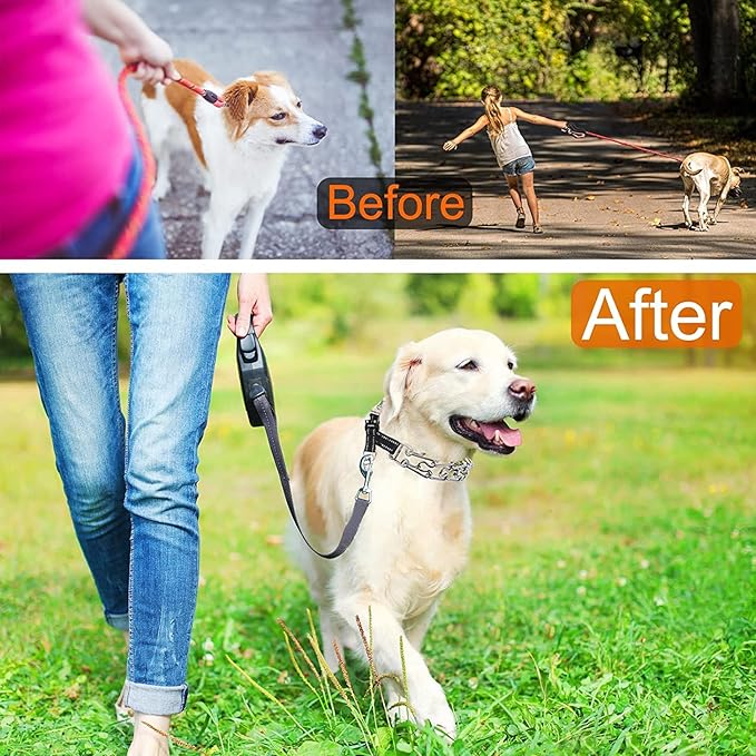 Pinch Collar for Dogs Adjustable Dog Training Collar with Comfortable Rubber Tip and Quick Release Buckle for Small Medium Large Dogs (Medium, Black)