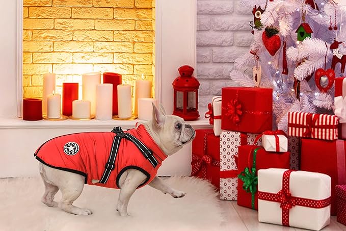 Aiboria Dog Jackets for Winter Windproof Waterproof 2 in 1 Outfit Cold Weather Coat Dog Vest Harness Puppy Winter Warm Jacket Red XL