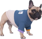 iChoue Pet Dog Crewneck Sweater Color Block Pullover Winter Warm Clothes for English Bulldog Bully Pitbull - Lake Blue and Yellow/XLarge