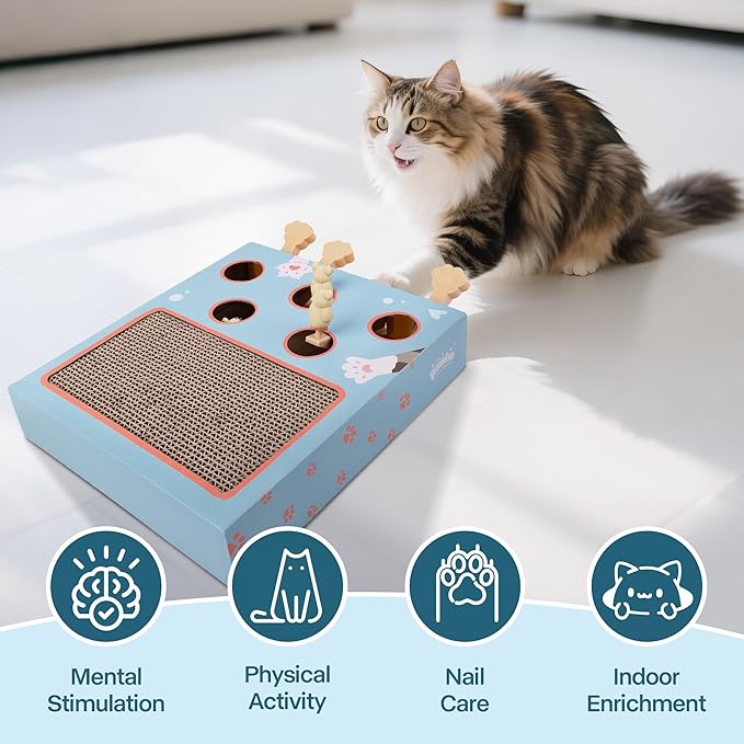PAWISE Cat Scratcher – Reversible Cardboard Scratching Pad, Durable Cat Scratch Bowl & Bed, Interactive Scratcher for Indoor Cats & Kittens (10X2.4X13.8)