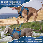 rabbitgoo Tactical Dog Harness for Large Dogs, No Pull Military Service Vest with Handle & Molle, Easy Control for Training Walking, Adjustable Reflective Straps, Blue Camo, XL