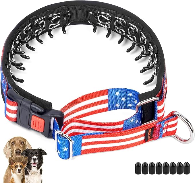 Mayerzon Martingale Prong Collar for Dogs, Patented No Pull Pinch Collar with American Flag and Buckle for Small Medium Large Dogs Training Walking Hunting, Adjustable and Heavy Duty(L, Flag)