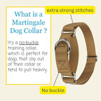 Country Brook Petz - Martingale Dog Collar - Heavy-Duty Training Collar with No Buckle - Service Dog Collar for All Pups - 10+ Warm Colors (Coyote Tan, 3/4 Inch, Small)