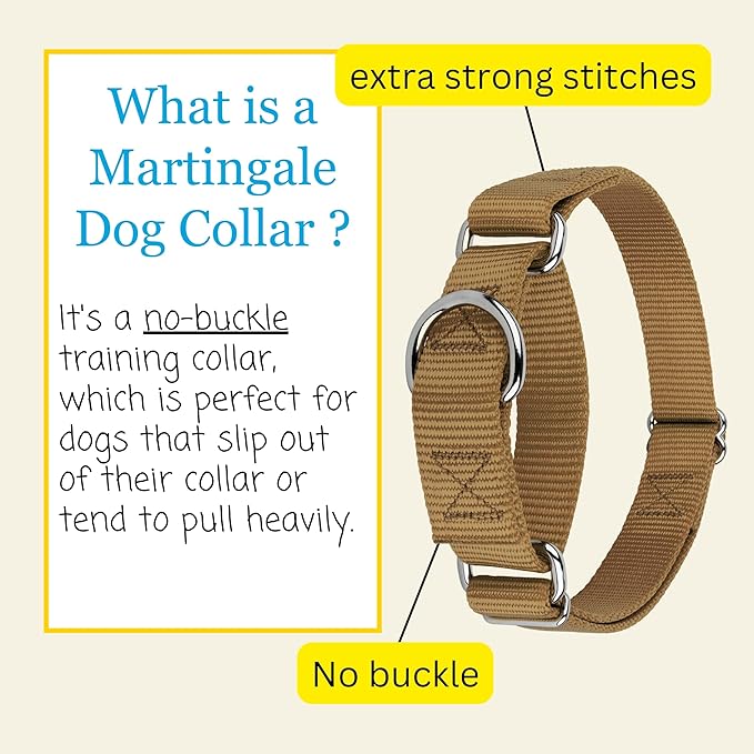 Country Brook Petz - Martingale Dog Collar - Heavy-Duty Training Collar with No Buckle - Service Dog Collar for All Pups - 10+ Warm Colors (Coyote Tan, 3/8 Inch, 3XS)