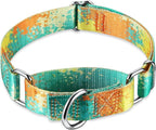 Martingale Collar for Dogs Escape-Proof No-Pull, Durable Polyester Training Collar for Dogs, No-Buckle (Deserts and Oases, Large)