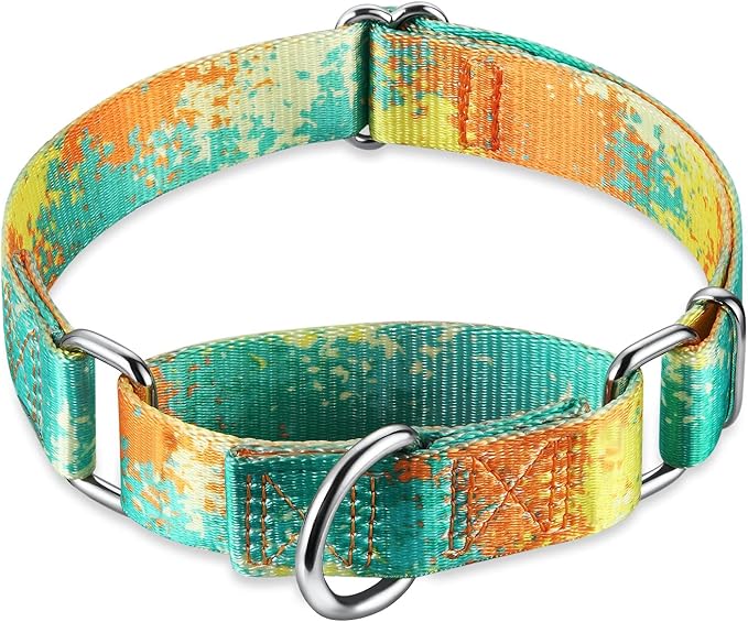 Martingale Collar for Dogs Escape-Proof No-Pull, Durable Polyester Training Collar for Dogs, No-Buckle (Deserts and Oases, Large)