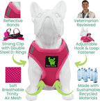 EcoBark Premium Quality Small Dog Harness - Step in Reflective Luxury Soft Mesh Harnesses for Puppies, Toy Breeds, & Small Dogs - Comfortable & Safe Body Halter - Adjustable Pet Vest (Small, Pink)
