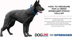 Herm Sprenger Curogan Dog Training Collar with Quick Release Buckle Ultra-Plus Pet Rounded Links Hypoallergenic Nickel Free No-Pull Collar for Dogs Made in Germany 3.2mm x 20in Medium