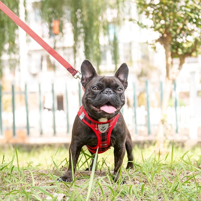 EXPAWLORER Classic Plaid Puppy Harness - Small Dog Harness and Leash Set - Dog Collar and Leash Set with AirTag Holder, Soft Padded Step in Dog Vest Harness No Pull Reflective for Outdoor, Red S