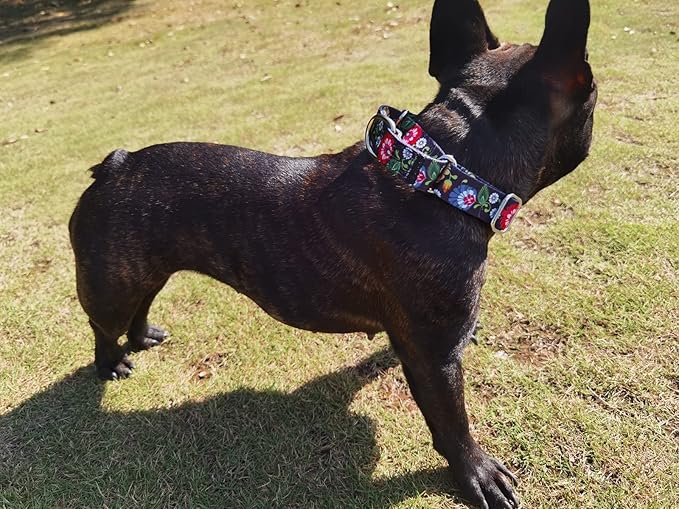 Serijoars Adjustable Martingale Dog Collar Heavy Duty Nylon Dog Collar for Medium Large Dogs Walking Training Boy and Girl Dogs (M, Black)