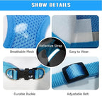 FEimaX Dog Harness and Leash Set for Walking, Soft Mesh Adjustable Easy Control Lightweight Cat Vest Harnesses with Reflective Strips, Escape Proof Small Dogs Cats Vests (Azure, Large)