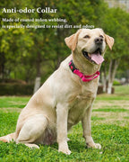Waterproof Martingale Collar for Dogs,Easy to Clean Dog Collars with Safety Quick Release Buckle,Rubber Collar for Medium Large Dogs Walking Training (Pink, M (16.5-20.8inch))