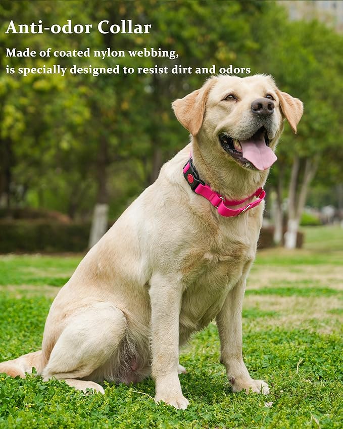 Waterproof Martingale Collar for Dogs,Easy to Clean Dog Collars with Safety Quick Release Buckle,Rubber Collar for Medium Large Dogs Walking Training (Pink, L (19.6-25.9inch))
