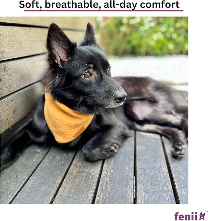Premium Cotton Dog Bandanas - 2 Pack - Adjustable Fit - Washable - for Small, Medium & Large Breeds - Girl & Boy Dog Accessories - Multiple Sizes (Bumblebee Yellow & Pebble Gray, X-Large)