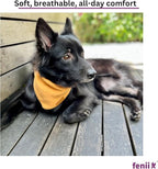 Premium Cotton Dog Bandanas - 2 Pack - Adjustable Fit - Washable - for Small, Medium & Large Breeds - Girl & Boy Dog Accessories - Multiple Sizes (Bumblebee Yellow & Pebble Gray, Small)