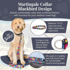 Lucky Love Dog Martingale Dog Collar - Adjustable, No-Slip, Durable, & Soft Webbing Collar for Male and Female Dogs Ideal for Training & Walking - Blackbird, Medium