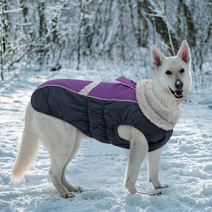 Queenmore Warm Fleece Dog Jacket, Cold Weather Waterproof Snowsuit, Reflective Turtleneck with Leash Hole, Small to Large Dog Coats (Purple, L)