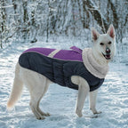 Queenmore Warm Fleece Dog Jacket, Cold Weather Waterproof Snowsuit, Reflective Turtleneck with Leash Hole, Small to Large Dog Coats (Purple, L)