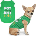 Parisian Pet Dog Shirt – 100% Cotton Green Shirts for Small Dogs – Sleeveless Puppy Vest – Lightweight and Breathable Funny Pet Apparel – St. Patrick’s Day Dog Clothes - Stretchy T Shirts for Dogs