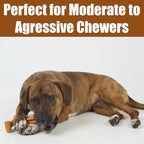 SPOT Bam-Bones Plus T Bone - Bamboo Fiber & Nylon, Durable Long Lasting Dog Chew for Aggressive Chewers – Toy for Dogs & Puppies Under 60lbs, Non-Splintering, 6in, Allergen Free Peanut Butter Flavor