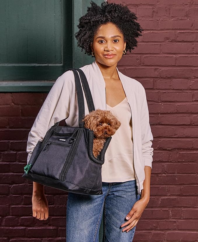 Cleverpup Transit Tote Dog Carrier for Small Dogs up to 8 lbs, 16x11x8 Soft-Sided 4-Pc Set with Waterproof Base, Plush Insert, Food Pouch, Mesh Head Opening - Small, Graphite Graphite