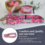 Lucky Love Dog Martingale Dog Collar - Adjustable, No-Slip, Durable, & Soft Webbing Collar for Male and Female Dogs Ideal for Training & Walking - Rosie, Medium