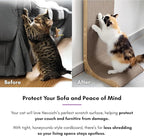 Necoichi Cardboard Cat Scratcher Wall for Indoor Cats - Cat Scratching Board, Cat Scratch Pad Lounger with Reversible Usability and Extra Comfort for Lounge, Curved (Oak, Regular)