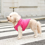 Fleece Lining Extra Warm Dog Hoodie in Winter for Small Dogs Jacket Puppy Coats with Hooded Pink M