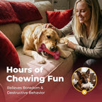 Apasiri 4-Pack Dog Toys for Aggressive Chewers with Beef Flavor: Dog Bones for Large Dogs, 8" Chew Toys Long-Lasting, Tough Nylon & Rubber Dogs Toys