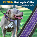 Mayerzon Martingale Collar for Medium Large Dogs, No Pull Dog Collar with Buckle, Soft Padded Reflective Martingale Dog Collar for Training Walking Outdoor(Purple, XL)