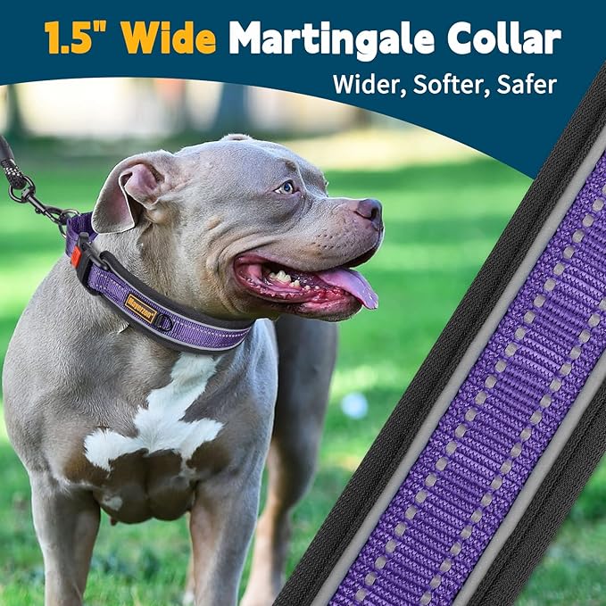 Mayerzon Martingale Collar for Medium Large Dogs, No Pull Dog Collar with Buckle, Soft Padded Reflective Martingale Dog Collar for Training Walking Outdoor(Purple, L)