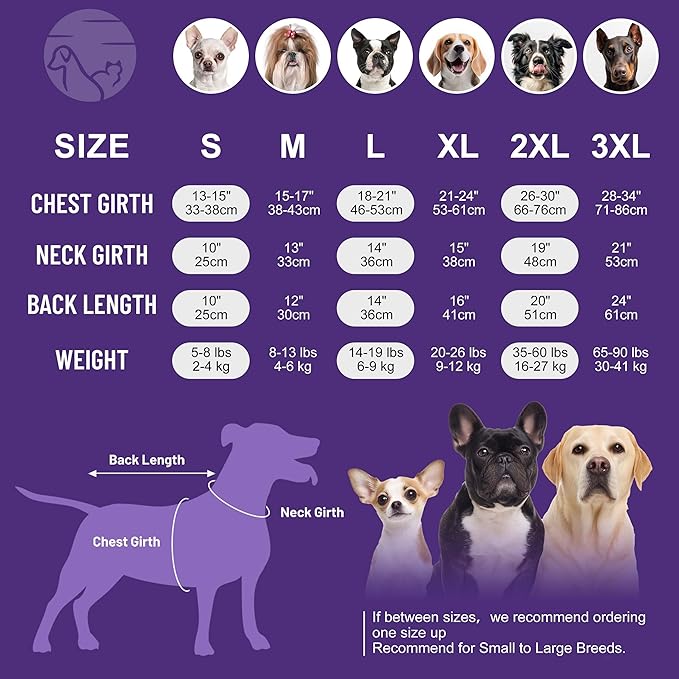 cyeollo Fleece Dog Jacket Sweater with Fleece Lining Zipper Reflective Jackets with D Ring Small Dog Clothes Winter Warm Indoor and Outdoor Coats