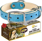 ADITYNA Heavy-Duty Leather Dog Collar for Small Dogs - Soft Padded for Comfort - Blue Dog Collar for Walking, Training, and Hiking