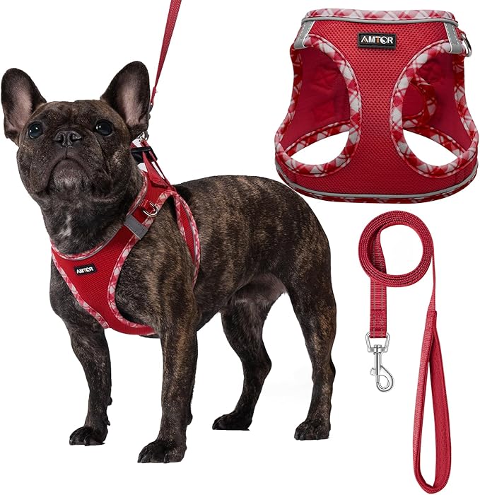 AMTOR Small Dog Harness with Leash Set, No Escape Easy Walk Puppy Harnesses for Training Walking, Step-in Reflective Soft Dogs Vest for XS S Medium Extra-Small Large Sized Dog(XS Size,Red/White)