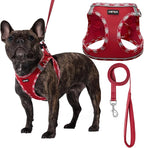 AMTOR Small Dog Harness with Leash Set, No Escape Easy Walk Puppy Harnesses for Training Walking, Step-in Reflective Soft Dogs Vest for XS S Medium Extra-Small Large Sized Dog(XL Size,Red/White)