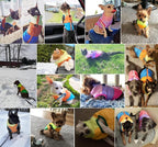 Idepet Pet Dog Cat Coat with Leash Anchor Color Patchwork Padded Puppy Vest Jacket Teddy Chihuahua Costumes Pug Cloth XS S M L(XX-Large,Black)