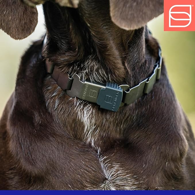 Herm. Sprenger NeckTech Fun Dog Training Collar with Quick Release Snap and Swivel, Anti Pull Collar, Stainless Steel Black (18" Neck Size; 20" Chain Length)