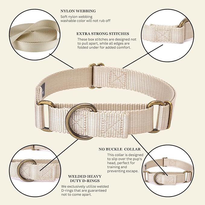 Country Brook Petz - Martingale Dog Collar - Heavy-Duty Training Collar with No Buckle - Service Dog Collar for All Pups - 10+ Warm Colors (Almond, 3/4 Inch, Small)