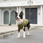 Warm Fleece Dog Coats with Durable Harness Buitl in D-Ring,Waterproof Doggie Jacket for Medium Dogs,Dog Vest for Cold Winter,Green L