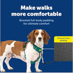 PetSafe Easy Walk Comfort No-Pull Dog Harness - Better Walk Training Harness - Full Body Padded Design - Durable Fabric - 5 Point Adjustable Fit - Everyday Leash Training - Green - Small/Medium