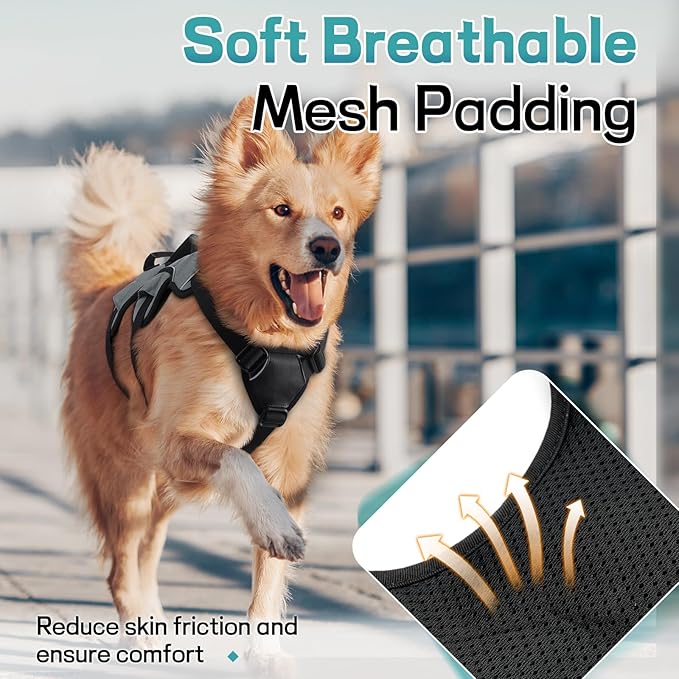 rabbitgoo Escape Proof Dog Harness, Soft Padded Full Body Pet Harness, Reflective Adjustable No Pull Vest with Lift Handle and Leash Clip for Large Dogs Walking Hiking Training, M, Grey